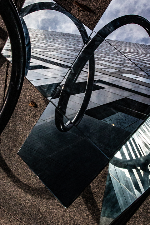 Mirrors in the World