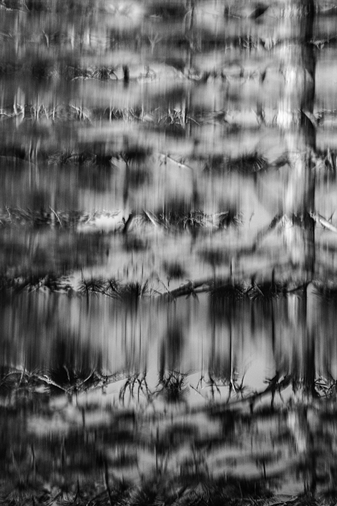 Rainy Lake Reflections